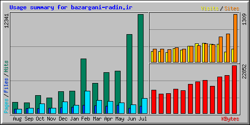 Usage summary for bazargani-radin.ir